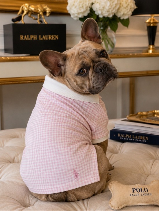 Polo Ralph Lauren Other - POLO RALPH LAUREN PINK GINGHAM DOG SHIRT LARGE PET POLO PREPPY COTTON PINK PONY